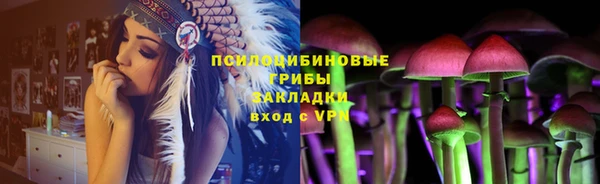 PSILOCYBIN Вяземский