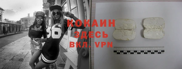 PSILOCYBIN Вяземский
