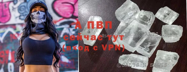 PSILOCYBIN Вяземский